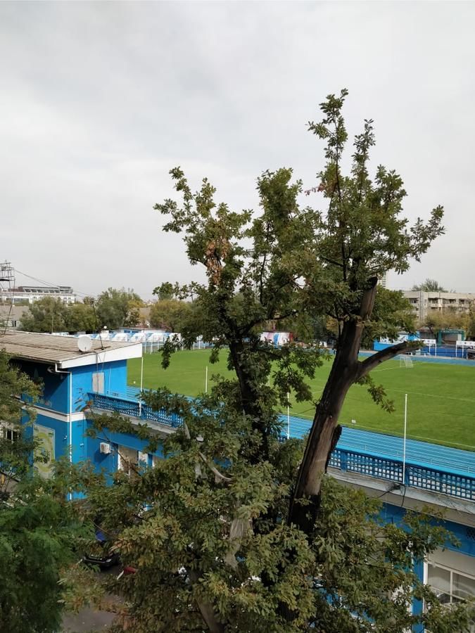 Кемпинги Молодежный Алматы